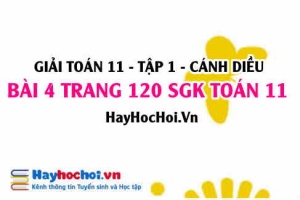 Giải bài 4 trang 120 Toán 11 tập 1 SGK Cánh Diều